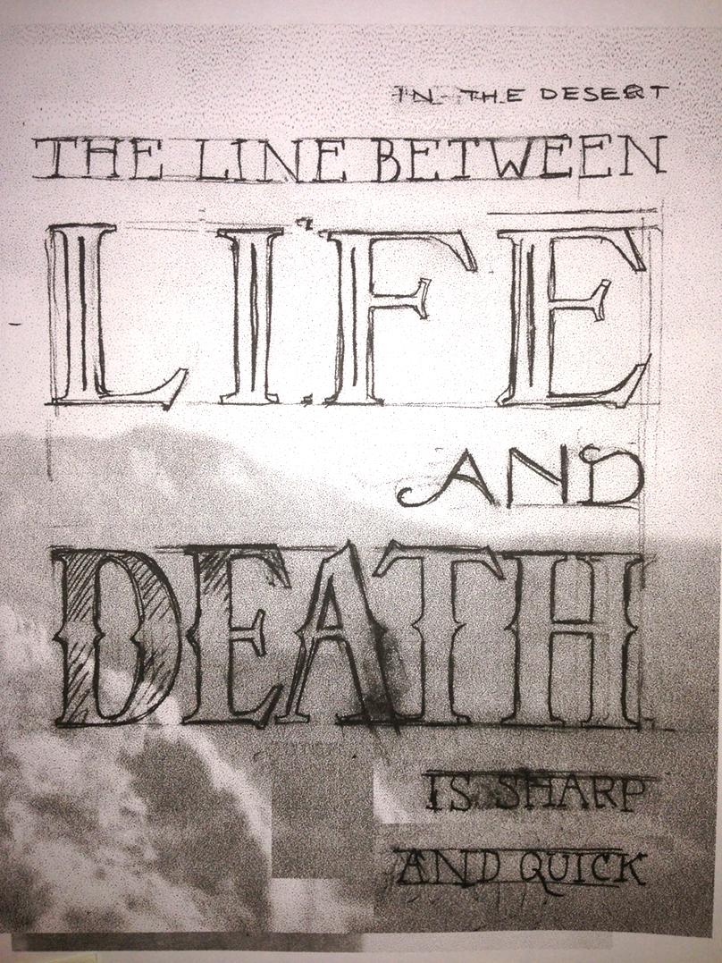 In the desert, the line between life and death is sharp and quick. - image 3 - student project