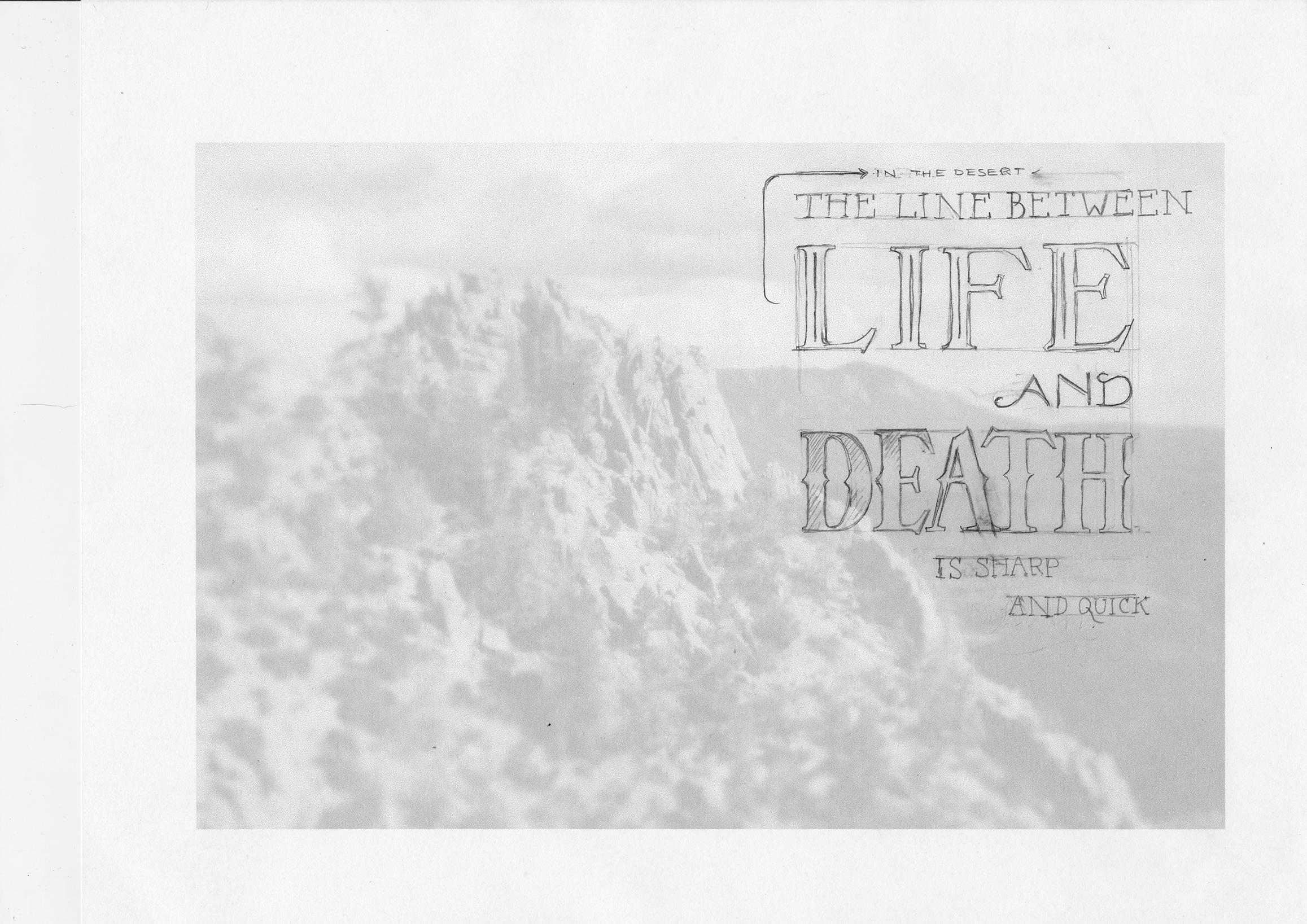 In the desert, the line between life and death is sharp and quick. - image 4 - student project