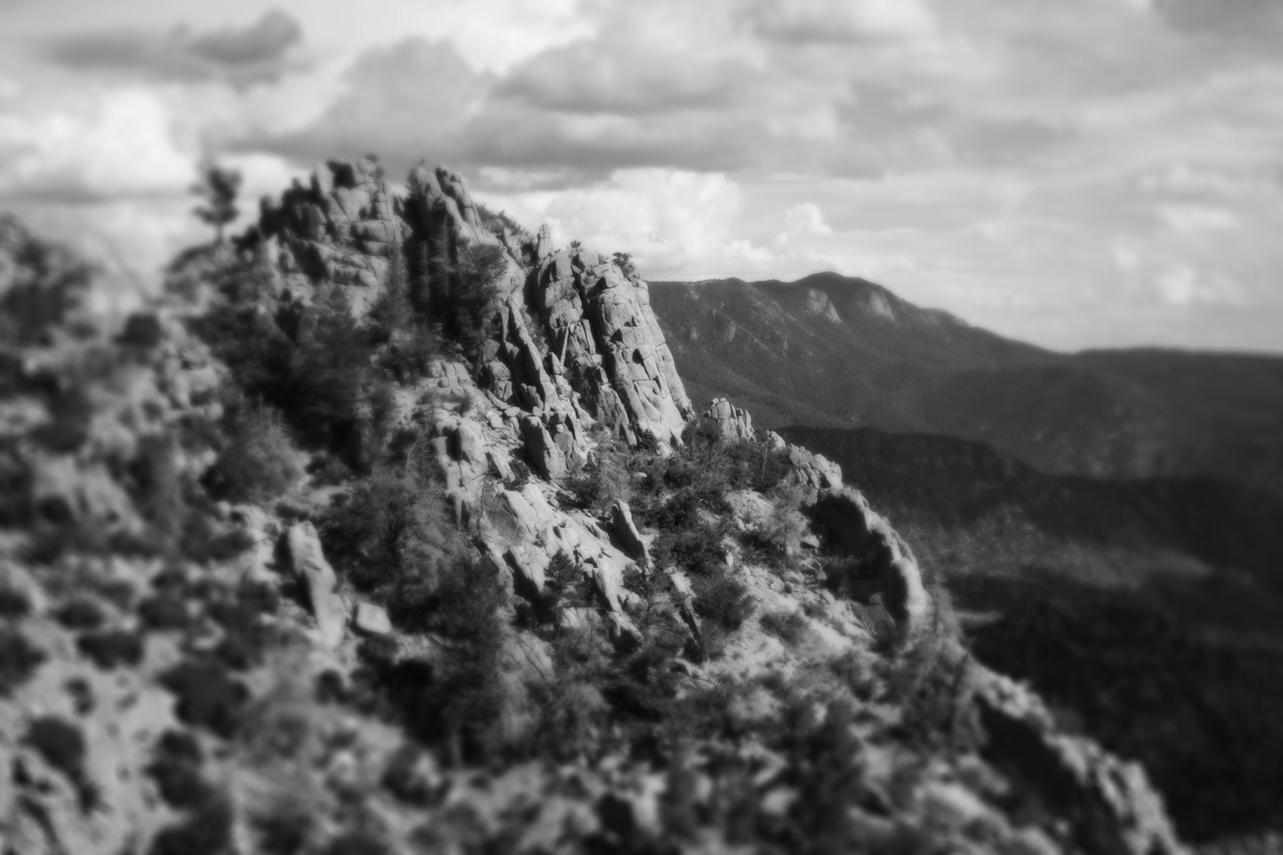 In the desert, the line between life and death is sharp and quick. - image 28 - student project