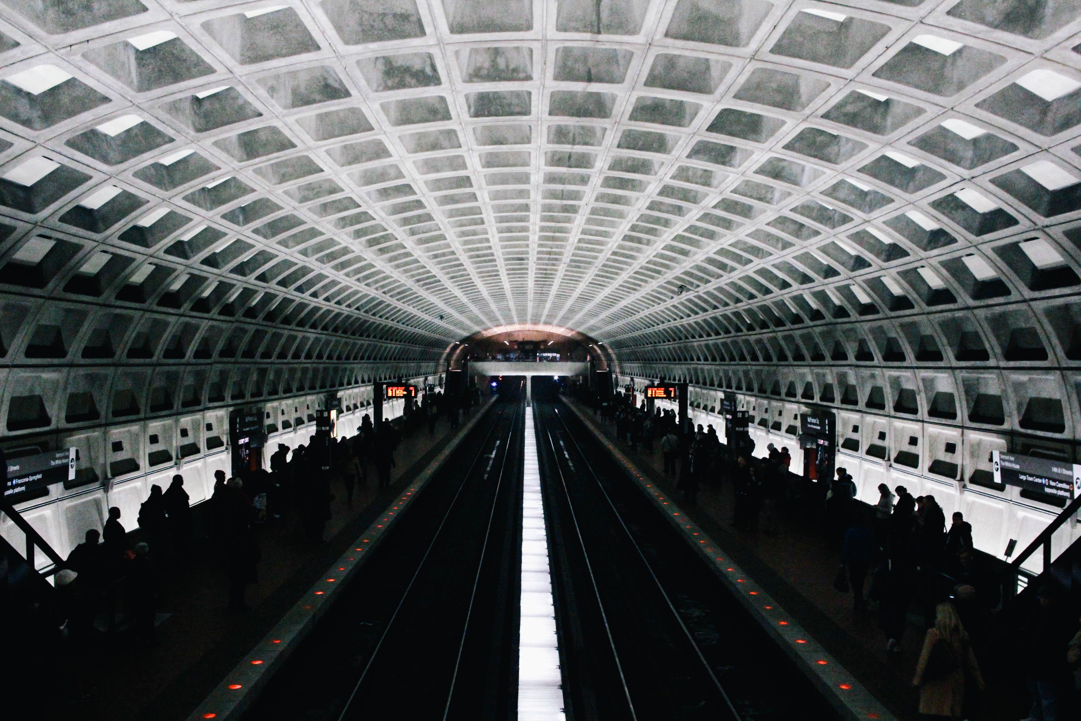 Welcome to DC | FINAL PROJECT - image 57 - student project
