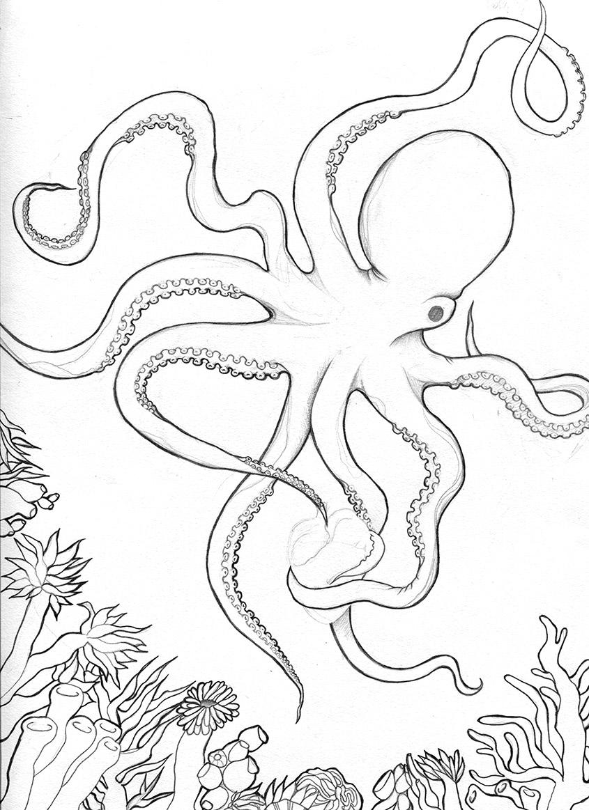 Mr. Octopus - image 2 - student project