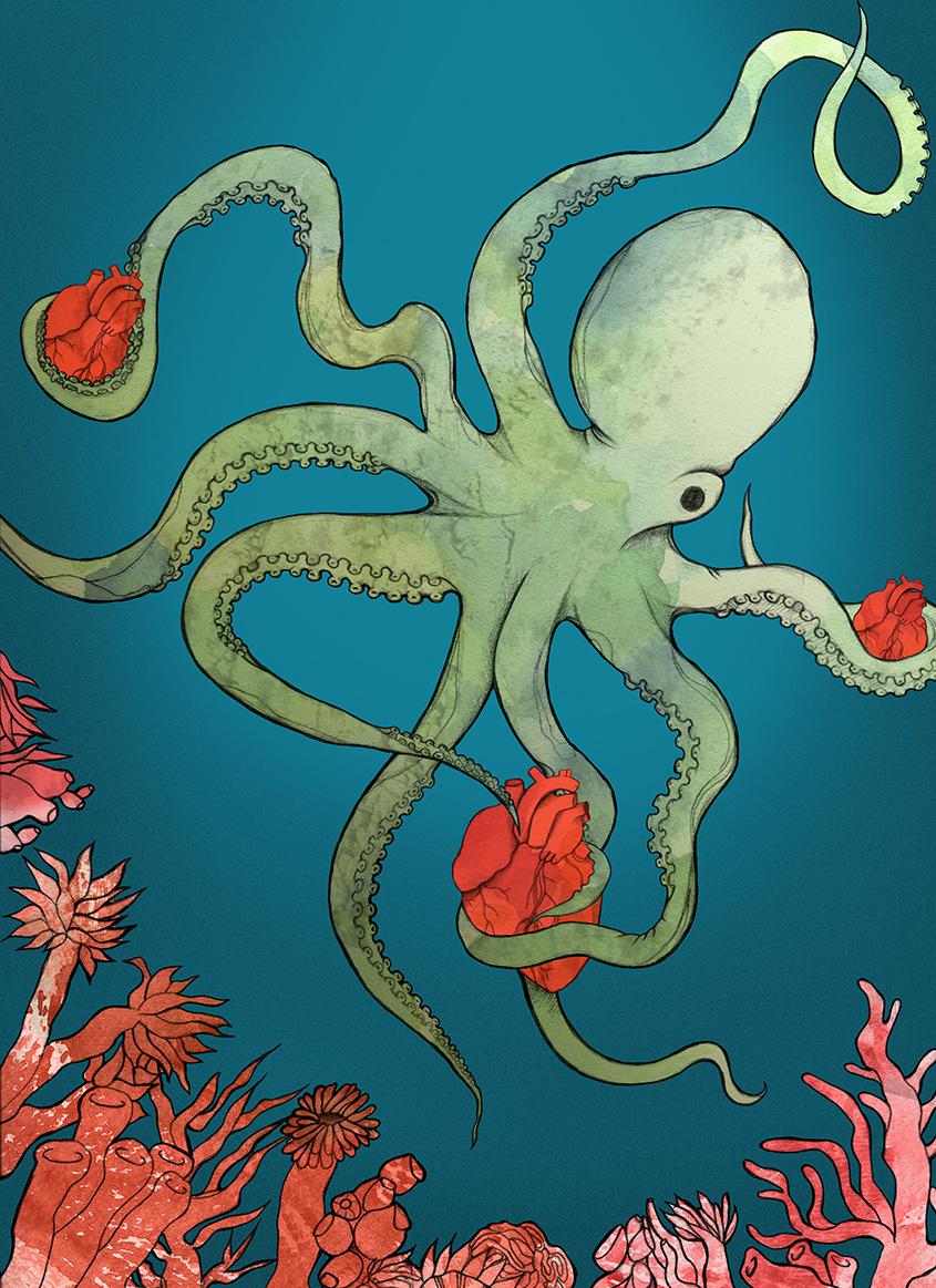 Mr. Octopus - image 1 - student project
