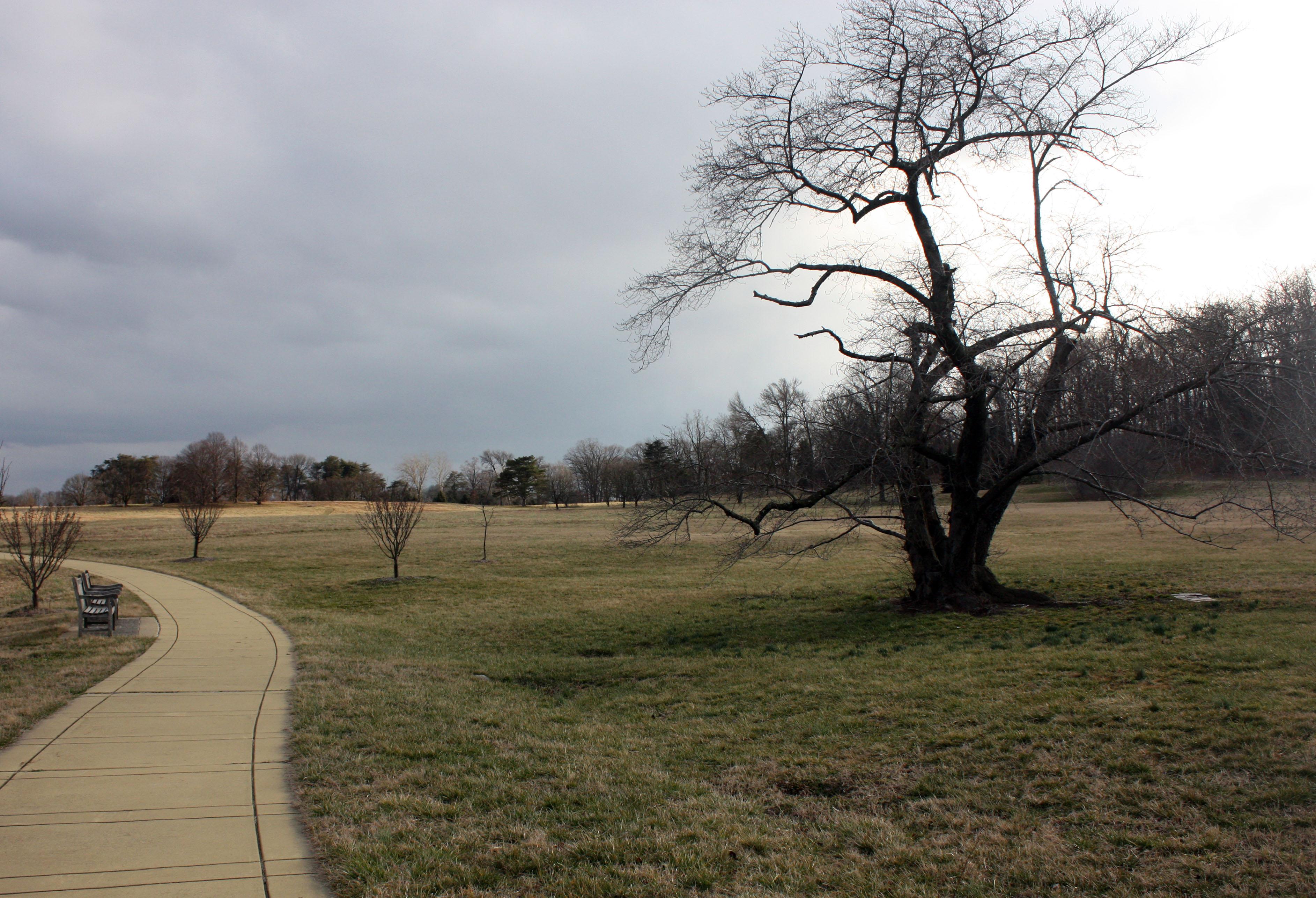 Washington, DC - image 4 - student project