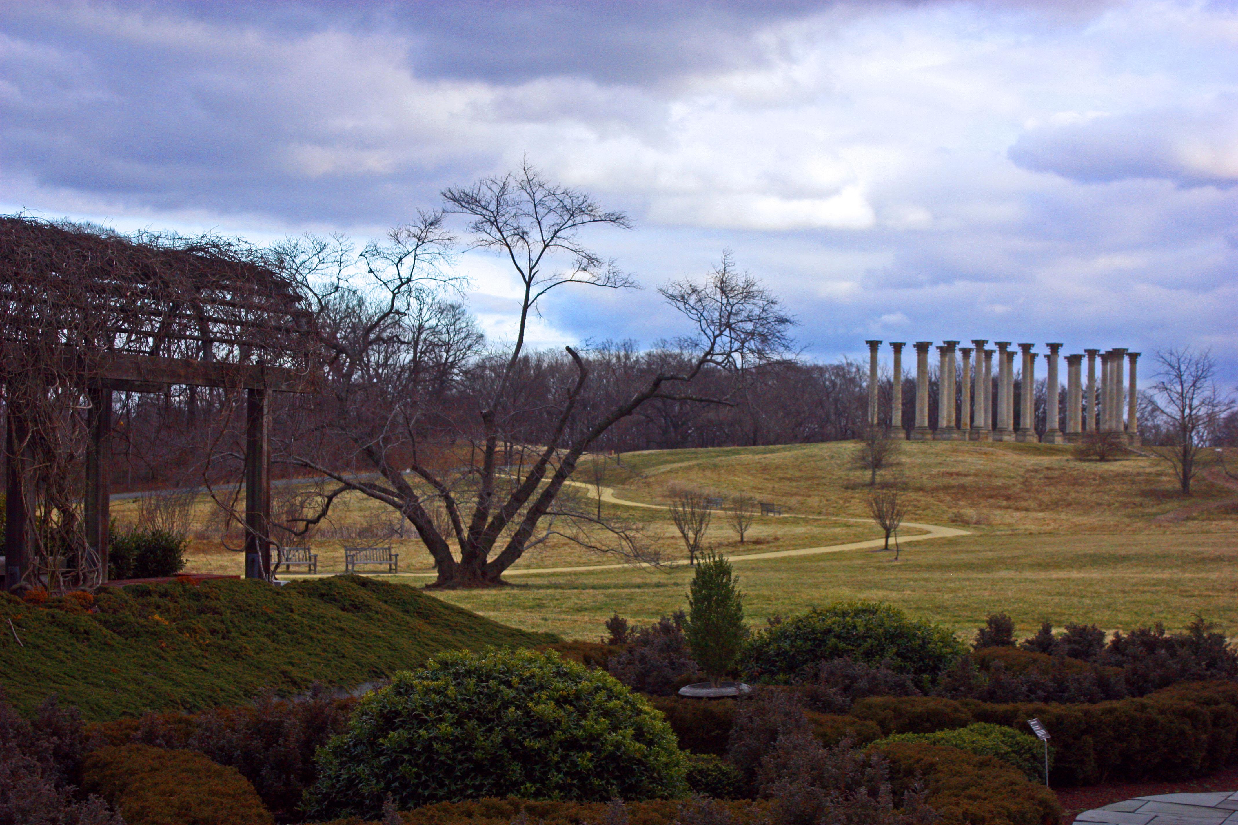 Washington, DC - image 6 - student project