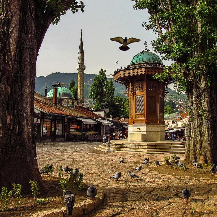 Greetings from Sarajevo - image 1 - student project