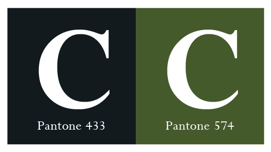 Updated Leaf Logo (Series Challenge) - image 3 - student project