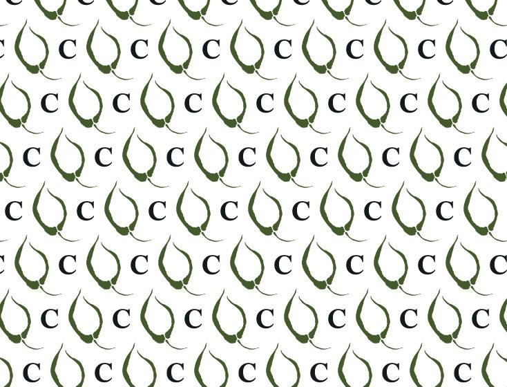 Updated Leaf Logo (Series Challenge) - image 4 - student project