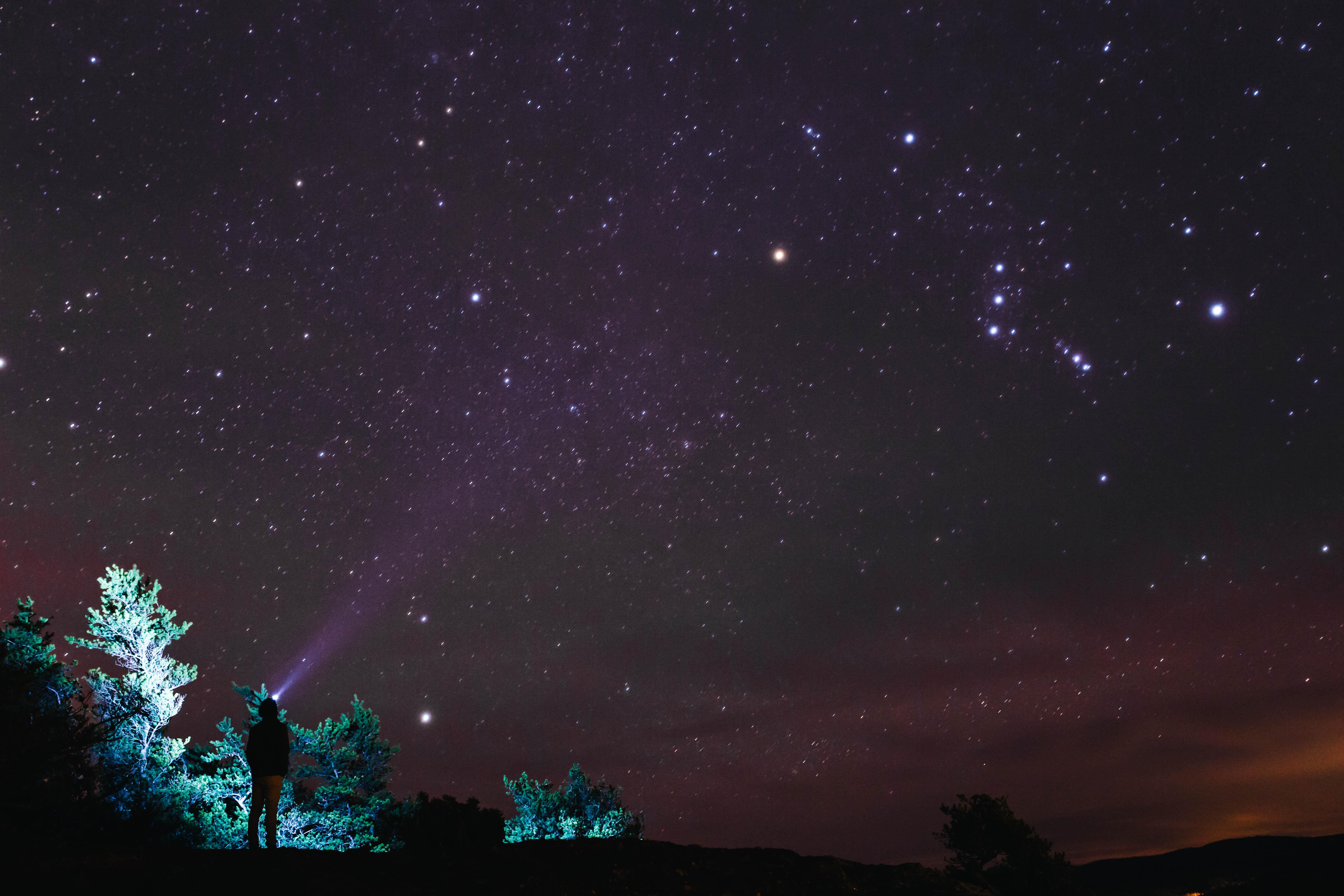 Cold Nights by Colin Swift (@colinscamera) - image 2 - student project