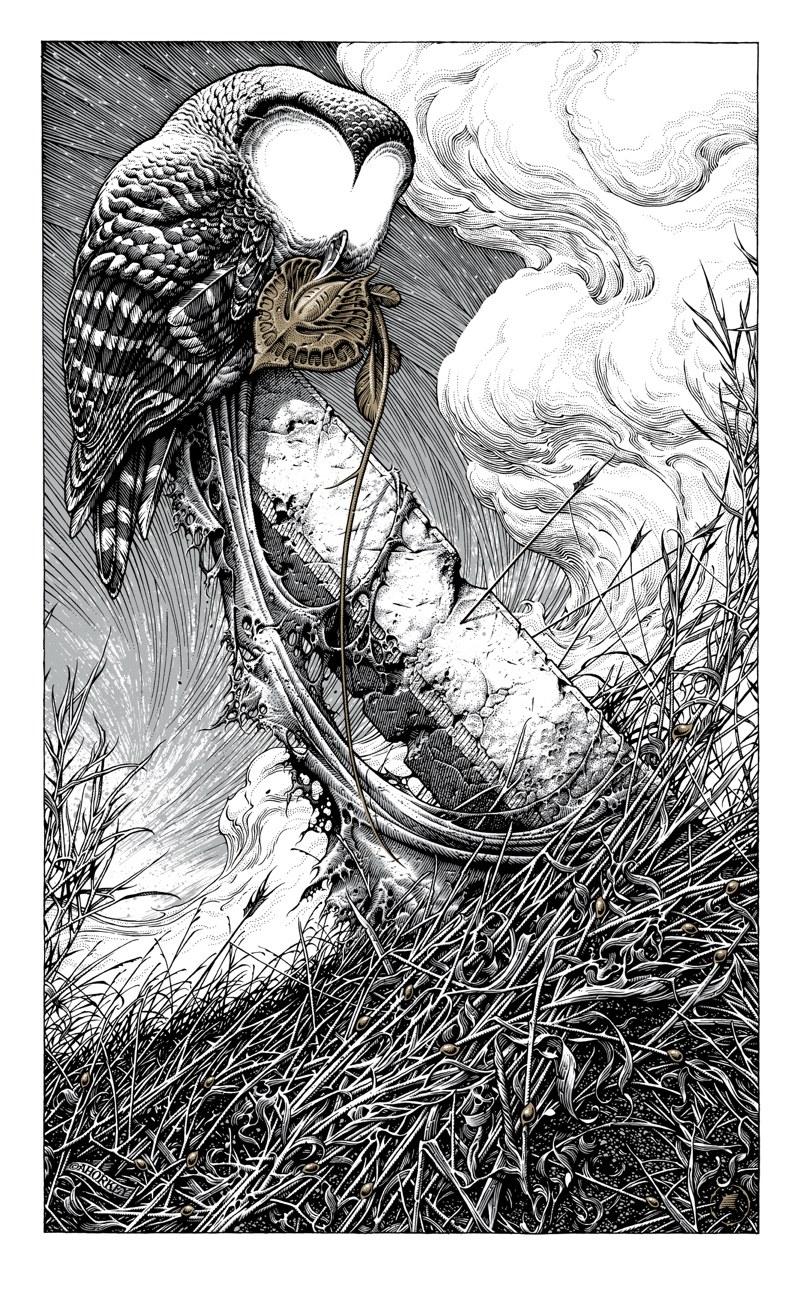Saillor´s Fist - image 6 - student project