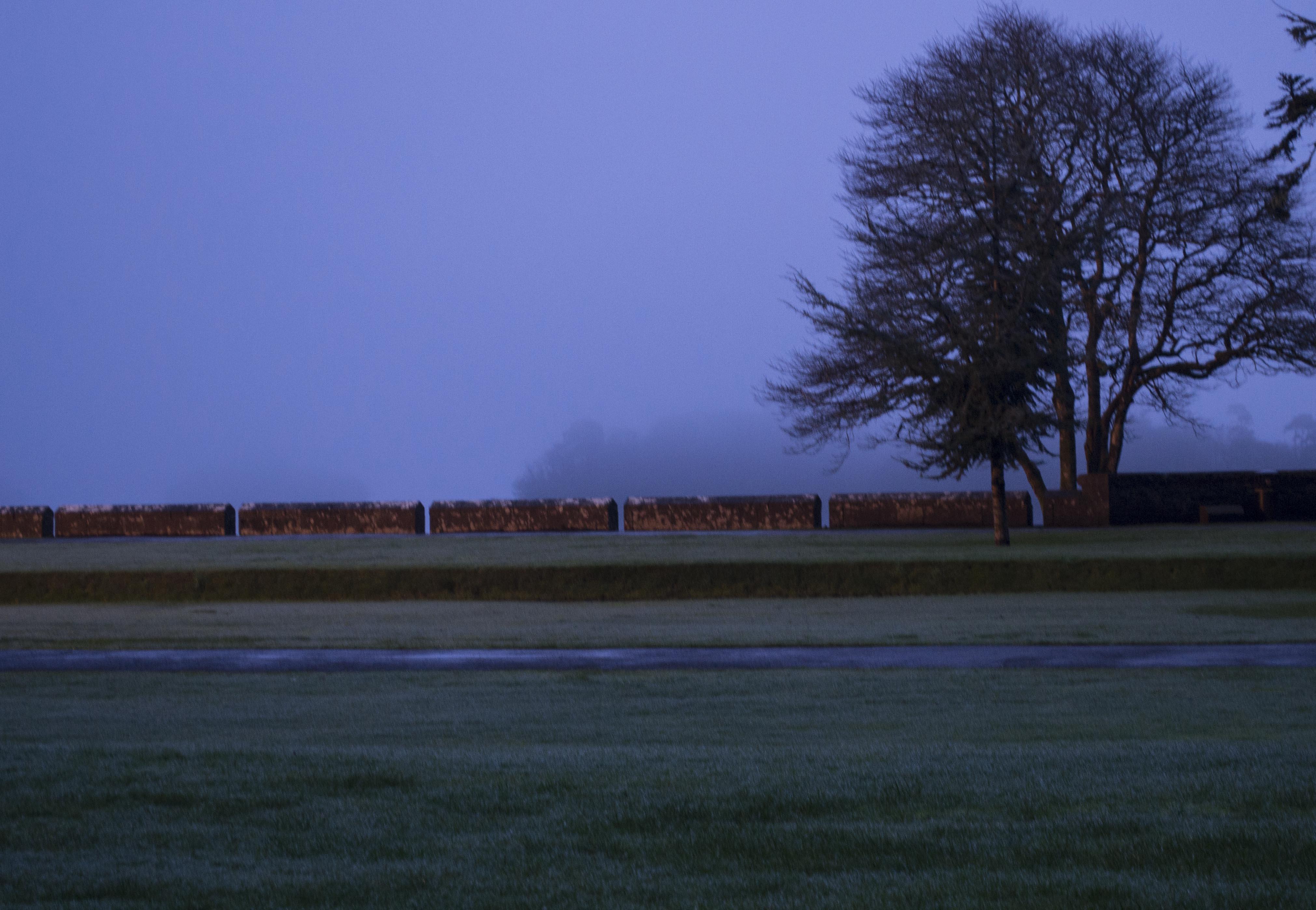Ireland & NYC - image 2 - student project