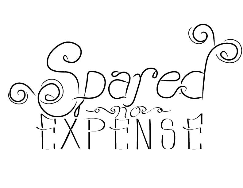 Spared No Expense - image 3 - student project