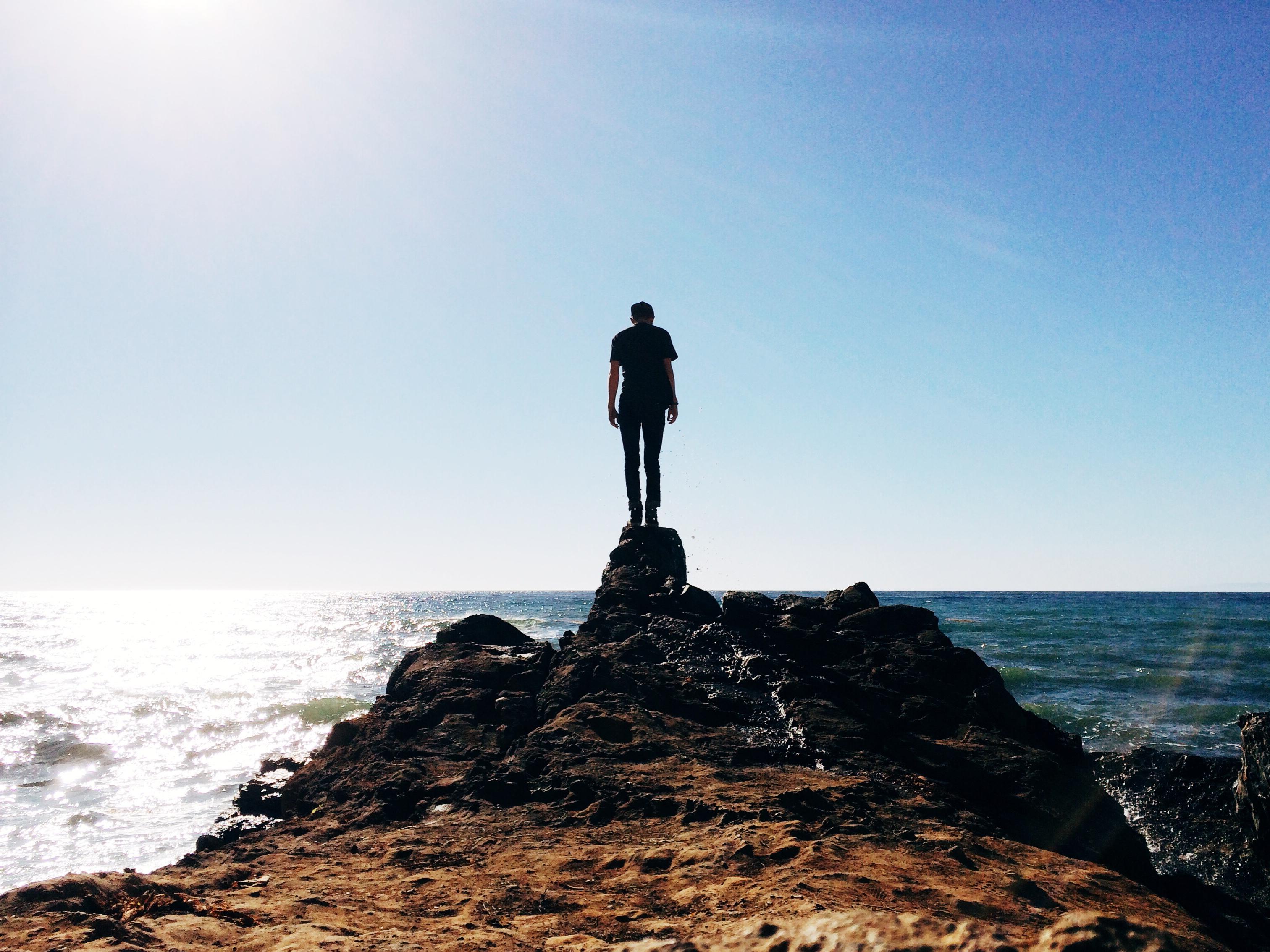 The Cove's Perspective - image 1 - student project