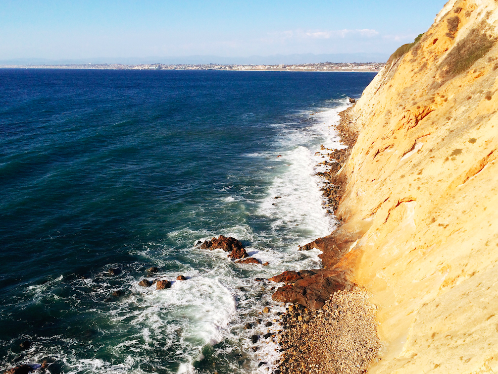 The Cove's Perspective - image 2 - student project