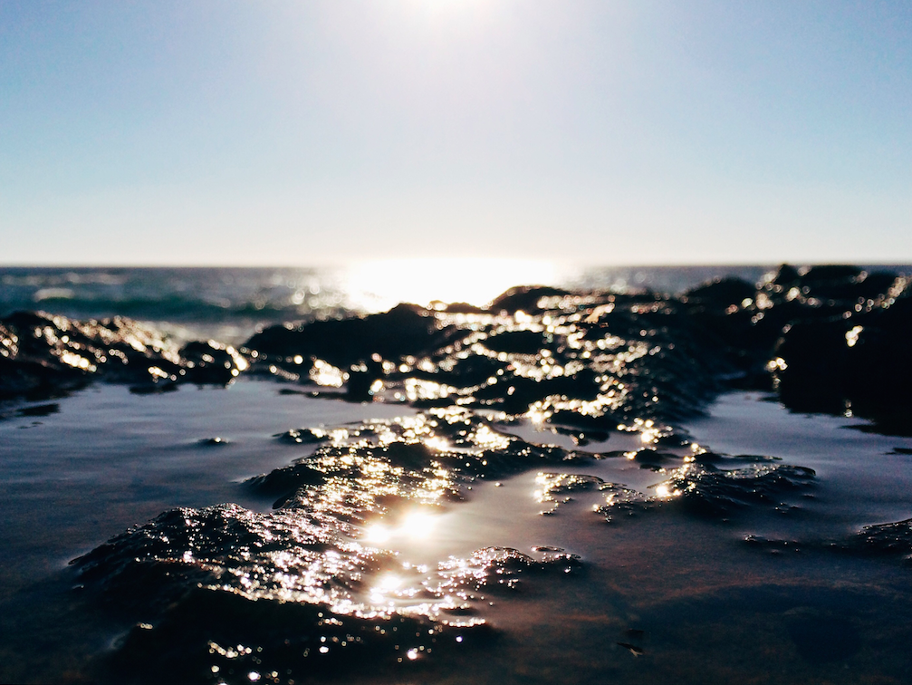 The Cove's Perspective - image 4 - student project