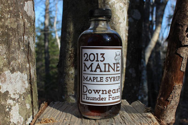 The Northern Fox (Maple Syrup) - image 3 - student project