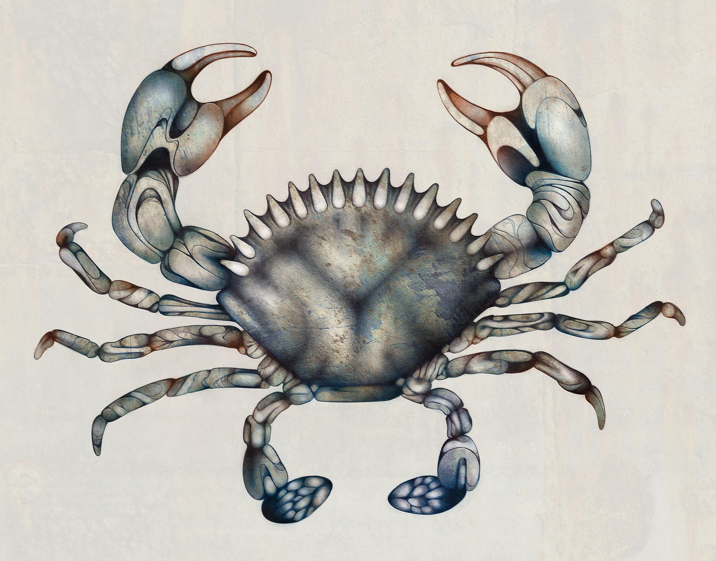 Crab - image 2 - student project