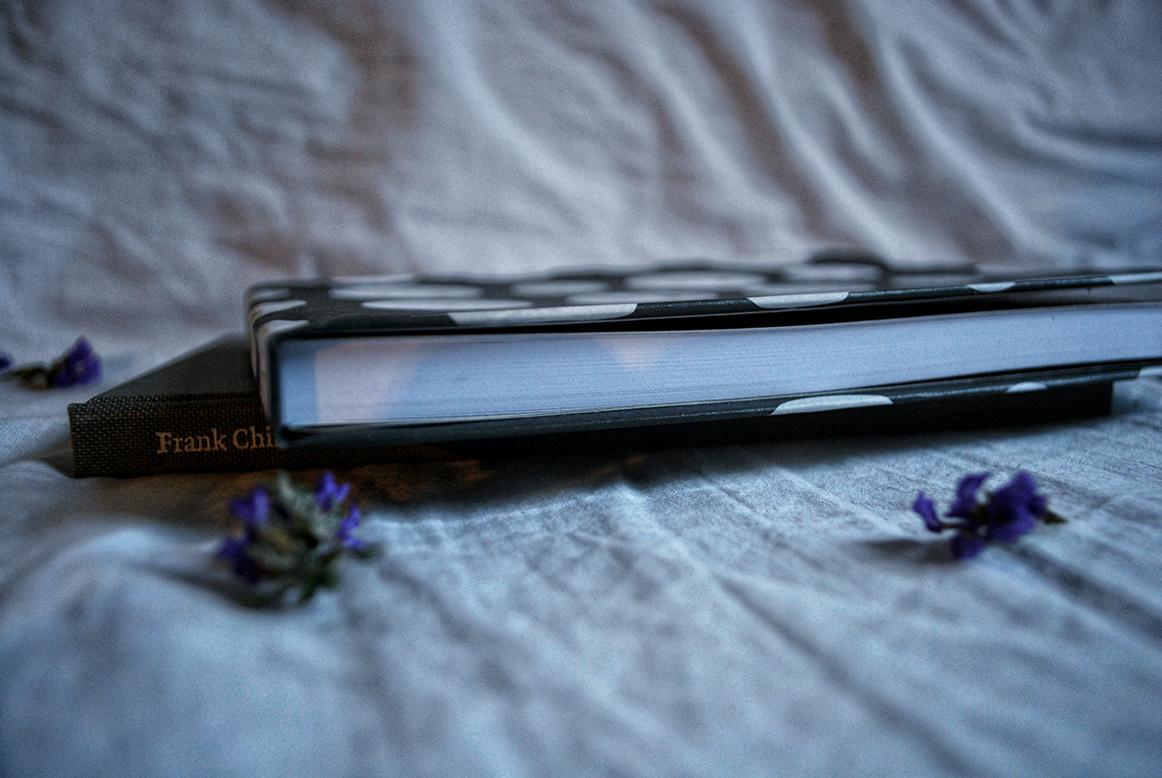 Mr. Moon Book - image 3 - student project