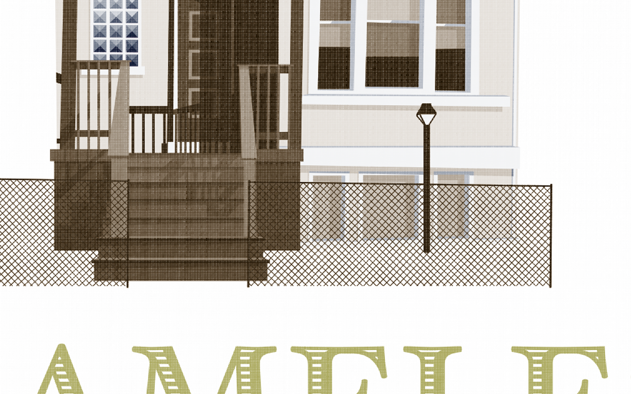 shameless tv series - image 7 - student project