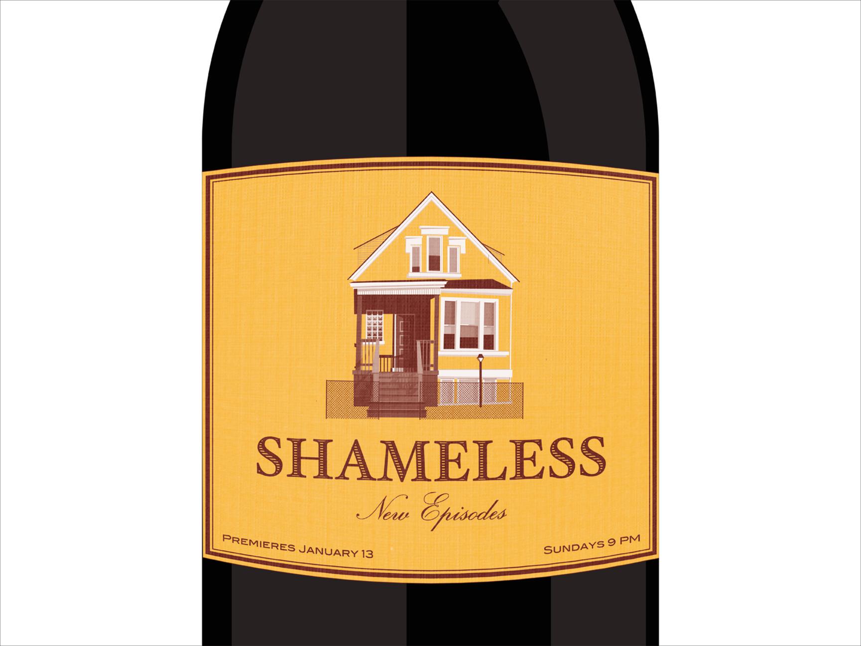 shameless tv series - image 9 - student project
