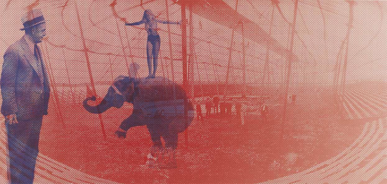 Water For Elephants Skillshare Student Project