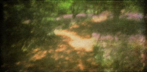 Everything is Broken - image 3 - student project