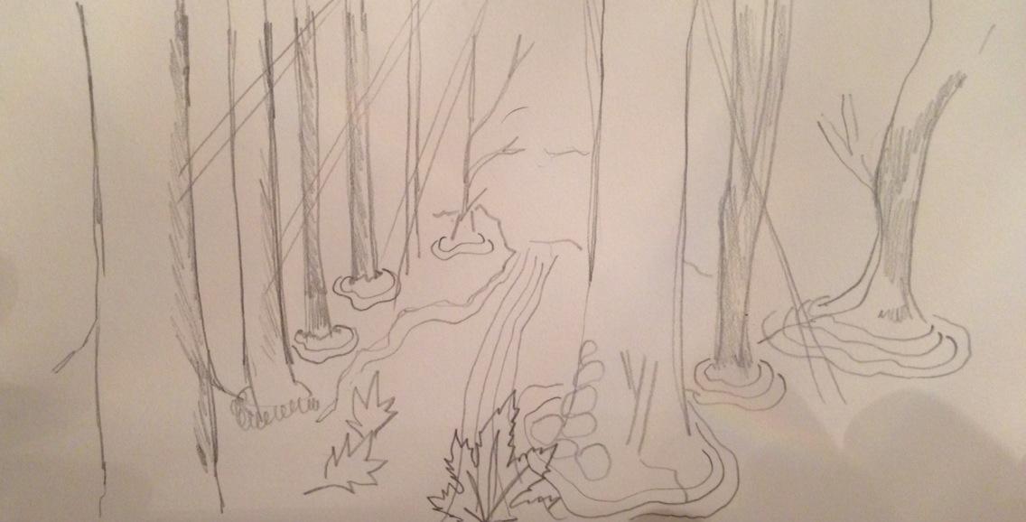 Quiet: Solitude in Nature - image 2 - student project