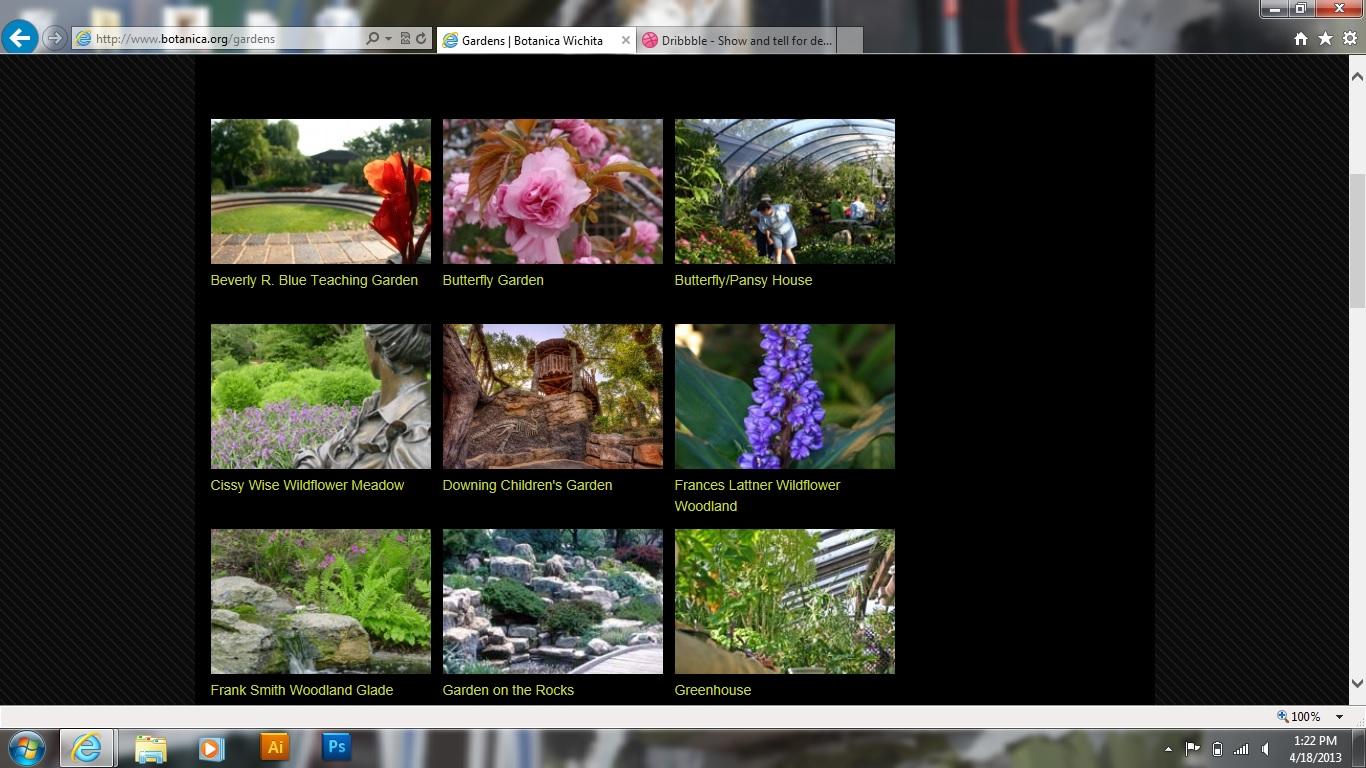 Wichita's Botanica Gardens Icons - image 3 - student project