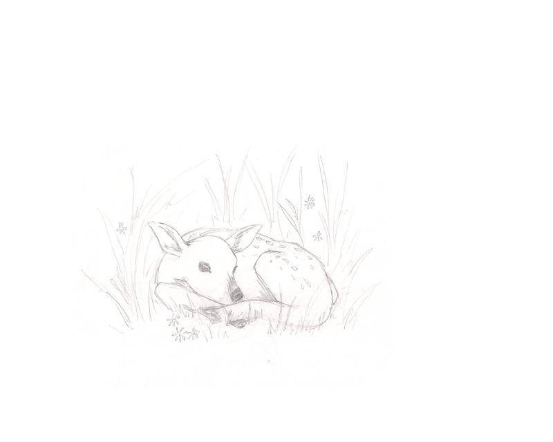 Resting Fawn - image 3 - student project