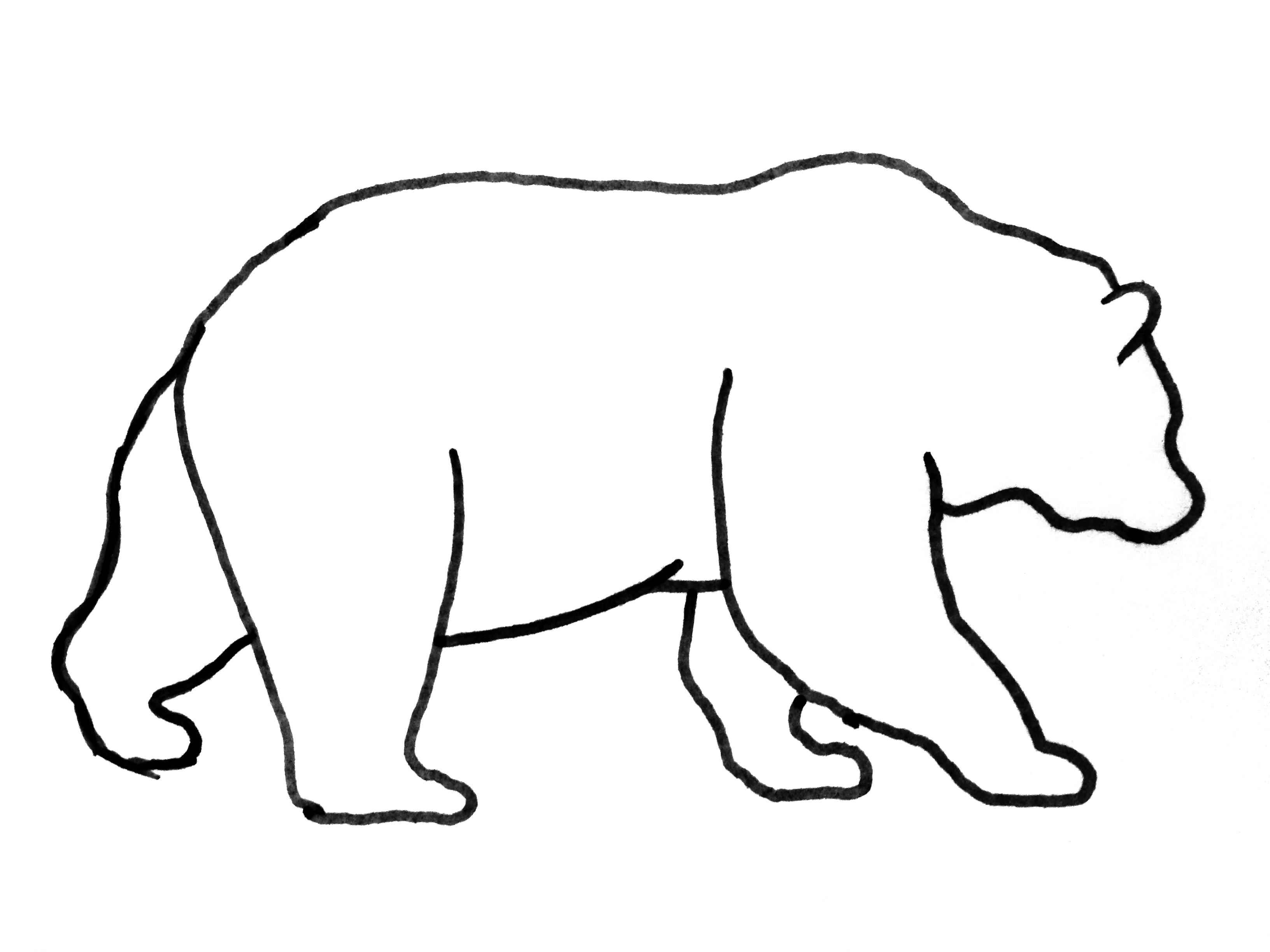 Grizzly Bear Population Plummets: Project 2025'S Response - 55lv3pg
