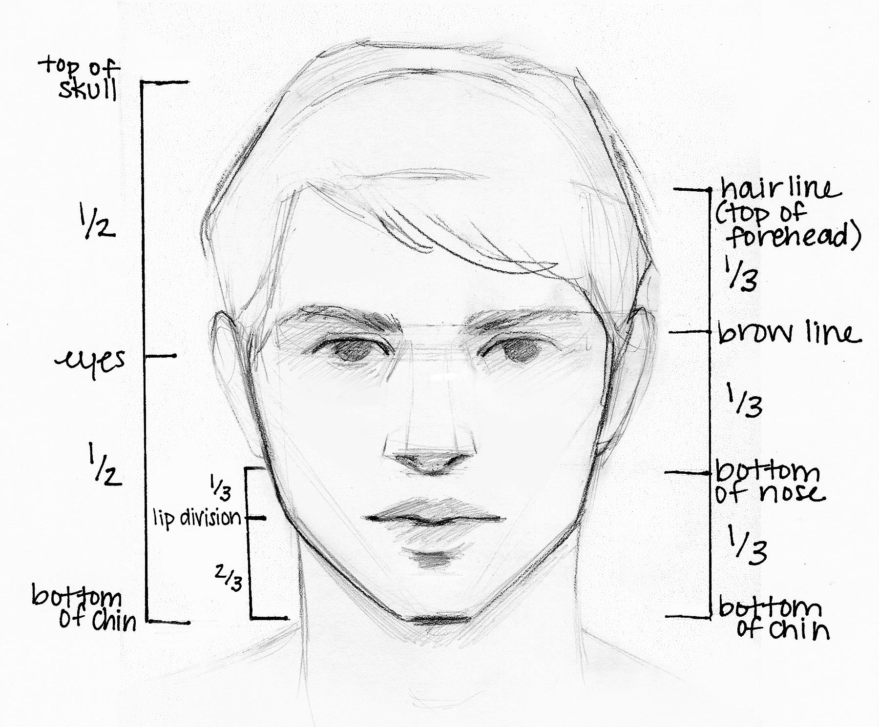 Portrait Drawing Methods