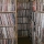 Record Swap!