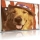 AmericanFido