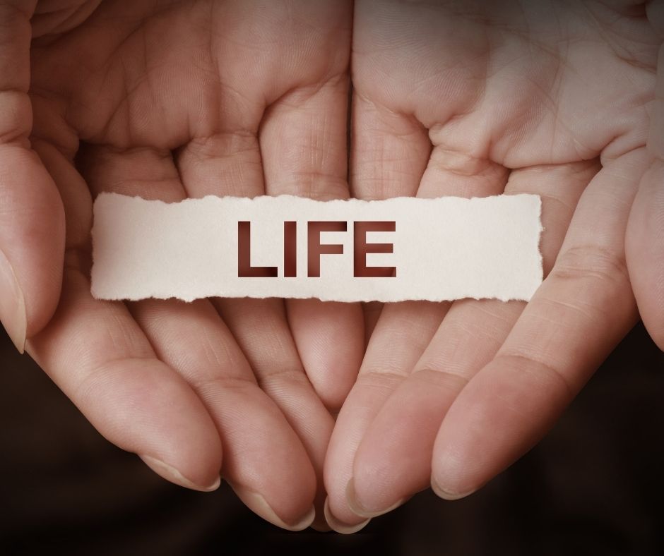 which is better whole life or term life insurance?