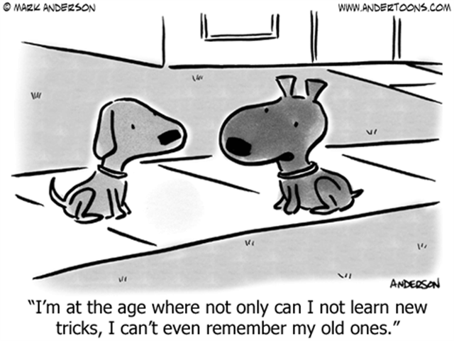 Old Dogs Certainly Can Learn New Tricks Research Shows That Learning 