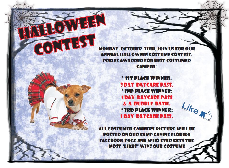 Do you think your pet has the cutest costume? Let us be the Judge