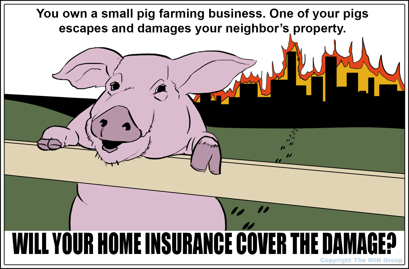 Insurance Trivia Question You Own A Small Pig Farming Business One Of 