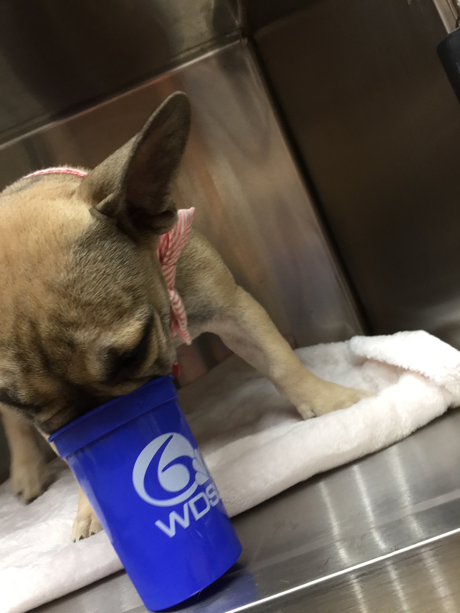 Thanks, WDSU, for bringing our staff snowballs this