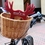 Antlers_bike_1c