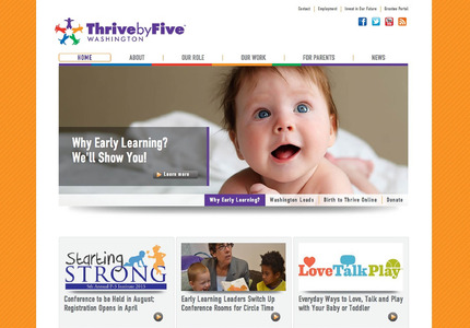 A great web design: Website, Marketing Website
, Non Profit
, Wordpress
