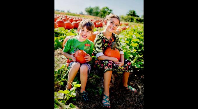 Bedners Fall Festival | South Florida Finds