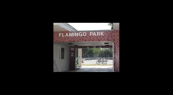 Flamingo Park Pool | South Florida Finds