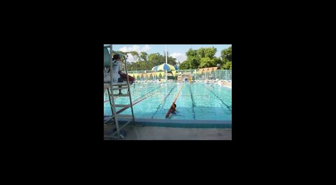 Flamingo Park Pool | South Florida Finds