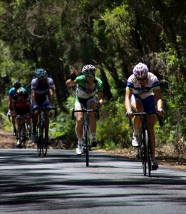 Just about to catch Avanti Plus! Photo: Aidan Macartney