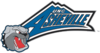 UNC Asheville Bulldogs