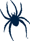 Richmond Spiders