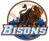 Buffalo Bisons