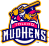 Toledo Mud Hens logo