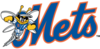 Binghamton Mets logo