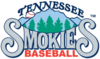 Tennessee Smokies logo