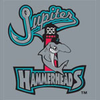 Jupiter Hammerheads logo